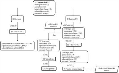 Exosomal circRNA in Digestive System Tumors: The Main Player or Coadjuvants?